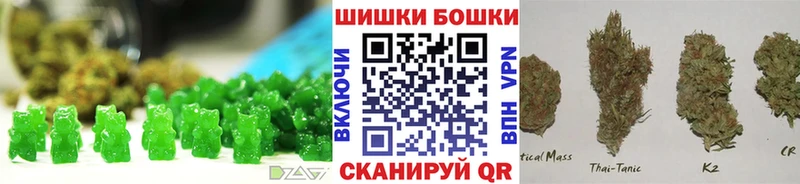 Купить закладки  Гусев  Canna-Cookies конопля 