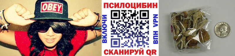 Галлюциногенные грибы GOLDEN TEACHER  Купить закладки  Гусев 